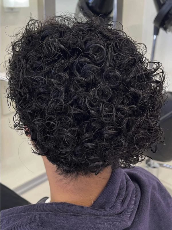 The finished perm: short dark hair in tight, defined curls, seen from behind